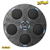 کیسه بوکس دیجیتال هوشمند( اورجینال )